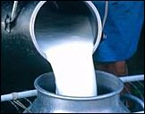 Алтайский край стал одним из лидеров России по производству молока