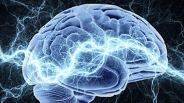 Исследование томских и американских ученых поможет в лечении ишемии мозга