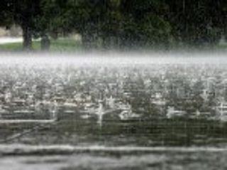 Наводнение на Алтае: дождливая погода в Бийске не должна вызвать подъема воды