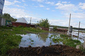 Наводнение на Алтае: уровень воды в Оби в районе пос.Ильича поднялся до 681 см