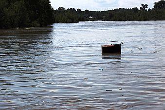 Наводнение на Алтае: завершена дератизация и дезинфекция в 91 населенном пункте