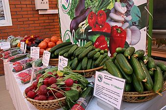 Наш ответ санкциям: торгово-продовольственная биржа откроется на Алтае в октябре