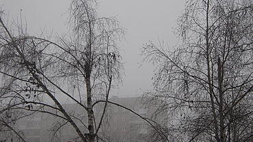 В Барнауле туман держится более 6 часов подряд