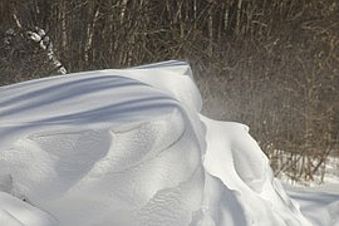 Бийский чиновник отчитался, как контролировался вывоз снега с улиц