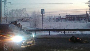 Подробности наезда автомобиля Ford на рабочего в Барнауле