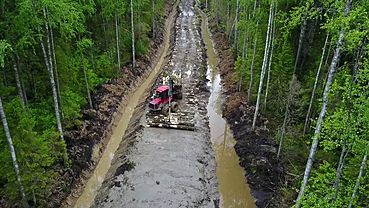 Главу района осудили за вырубку леса ради строительства необходимой дороги