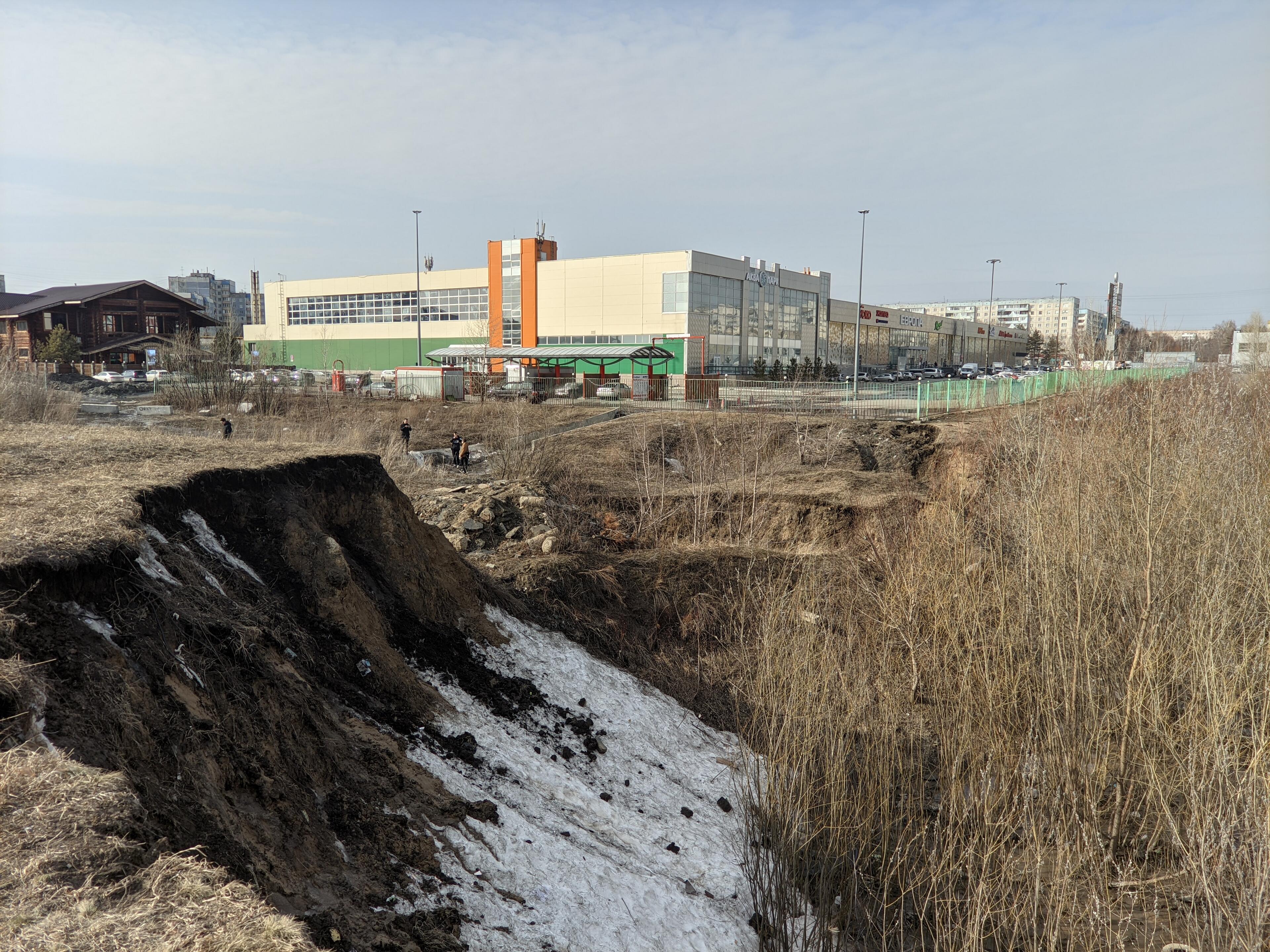 Зачем парк 300-летия Барнаула нужен городу и почему за него голосуют люди