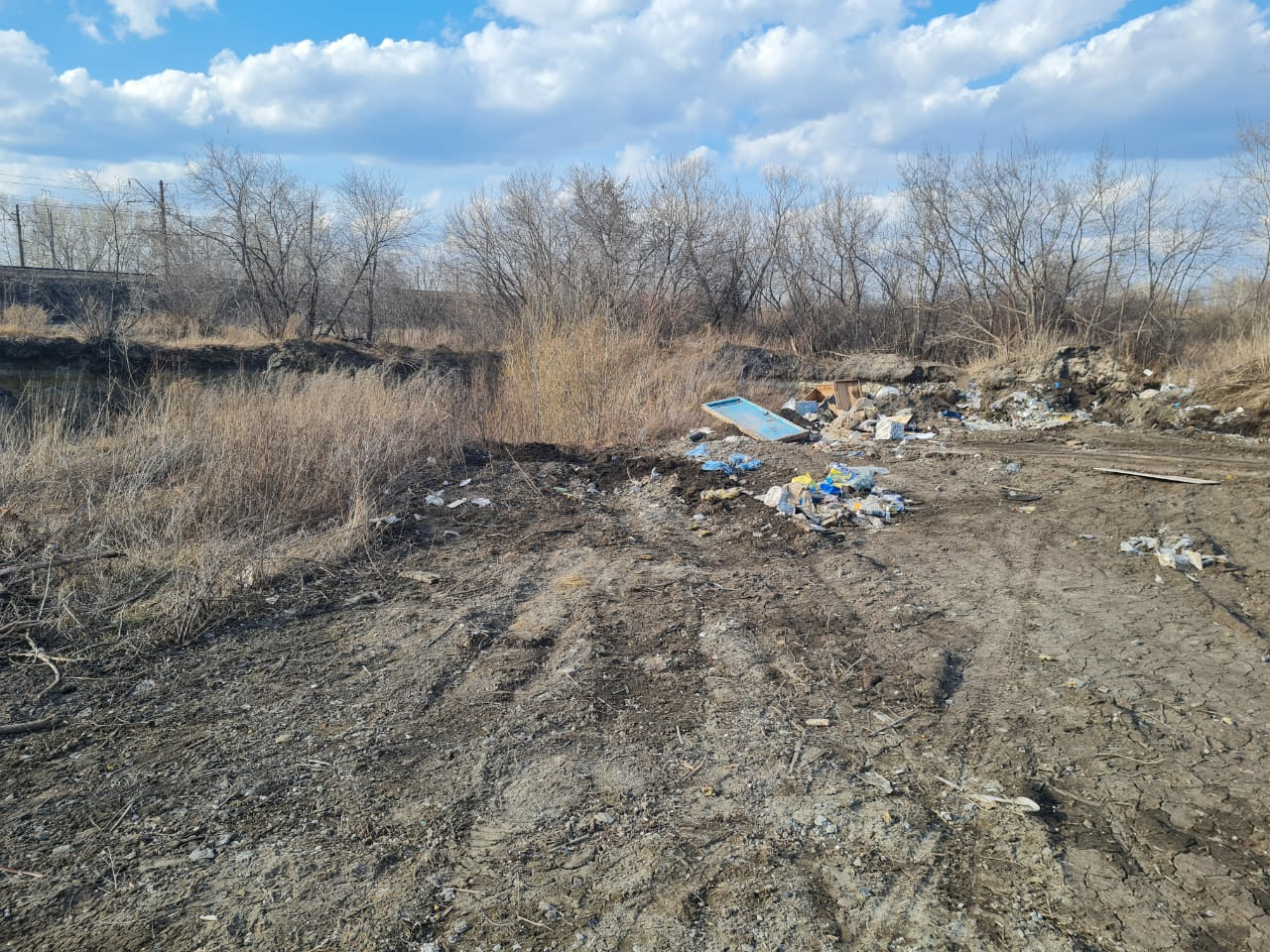 Жители Новоалтайска пожаловались на свалку под окнами жилых домов