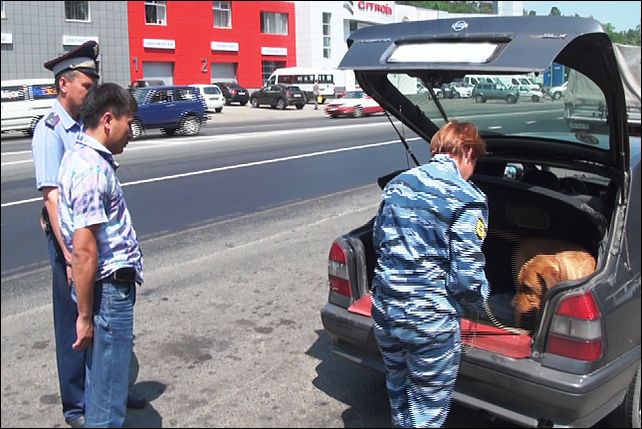 Водитель автомобиля барнауле