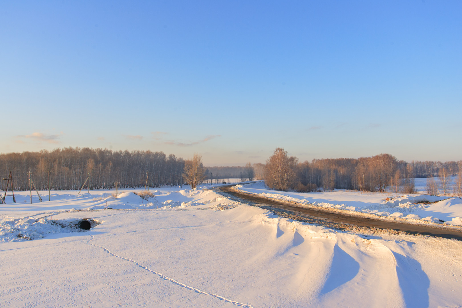 Это призвание: зачем молодые учителя уезжают из городов в села?