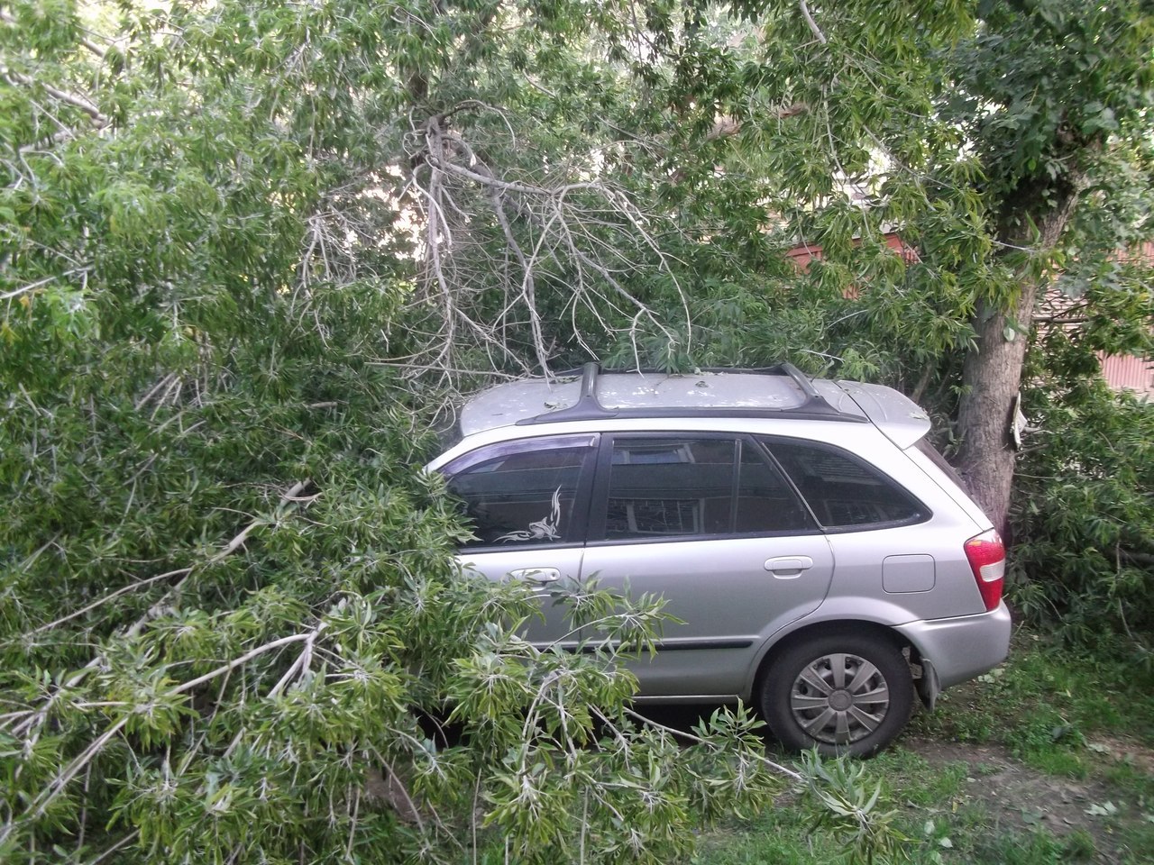 Ураган в алтайском крае сегодня видео. Ураган в Алтайском крае 10.07.2021. Фото сильного ветра в Алтайском крае. В Барнауле самый сильный ветер.