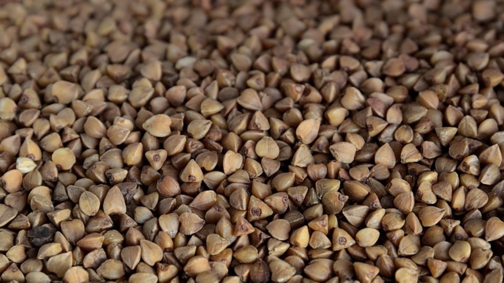 Buckwheat Groats фото. What is Buckwheat.