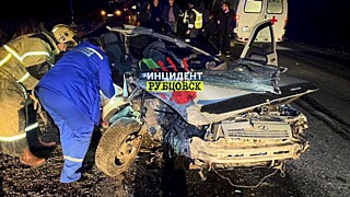 Фото: “Инцидент Рубцовск”