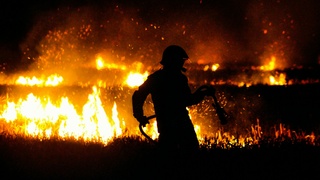 Природный пожар / Фото: unsplash.com