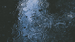 Следы дождя / Фото: unsplash.com 