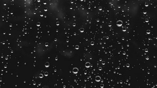 Капли дождя / Фото: unsplash.com 