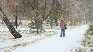 Барнаул в октябре 2024 года / Фото: amic.ru