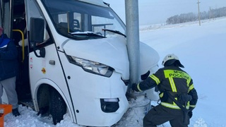 Микроавтобус, влетевший в столб / Фото: МЧС Алтайского края