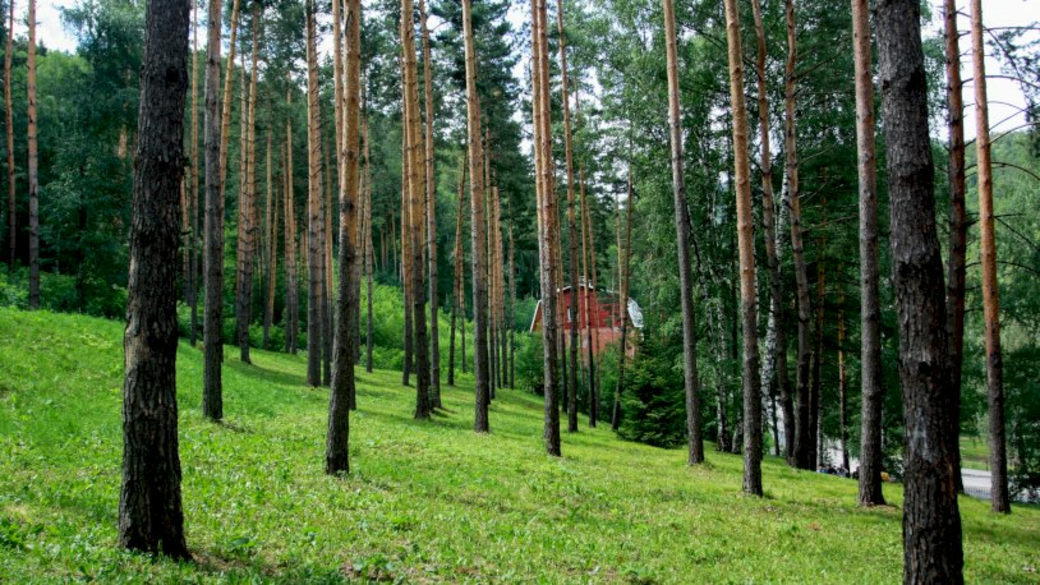 Планета ку барнаул фото