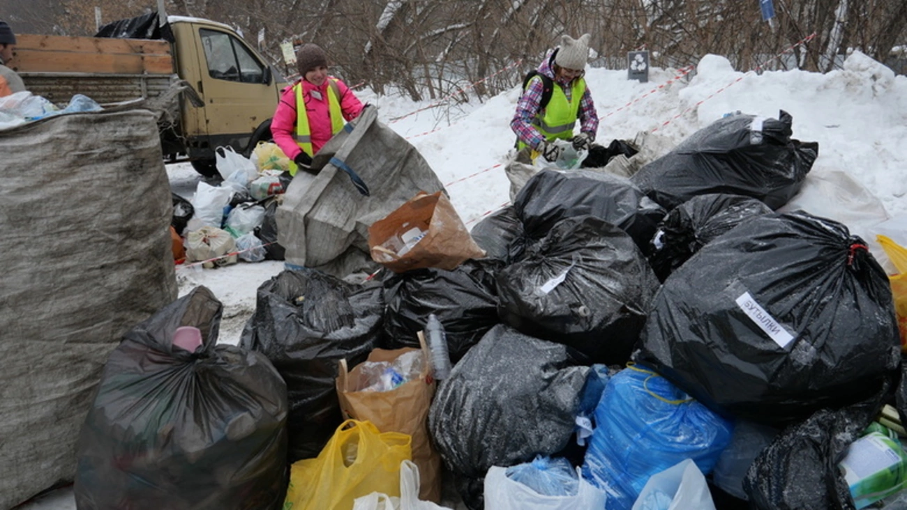 В Барнауле пройдет акция по раздельному сбору мусора. Что принимают на  переработку?