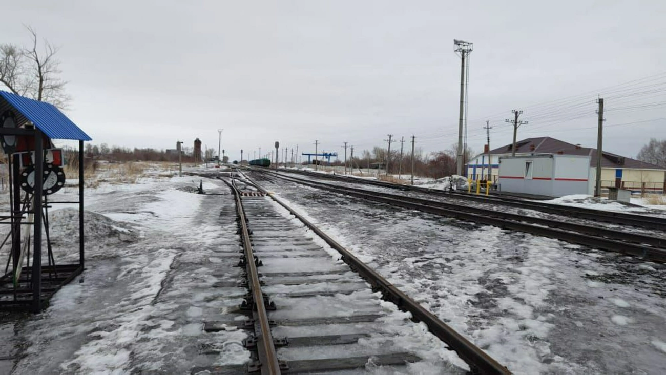 Грузовой поезд насмерть сбил мужчину в Алтайском крае