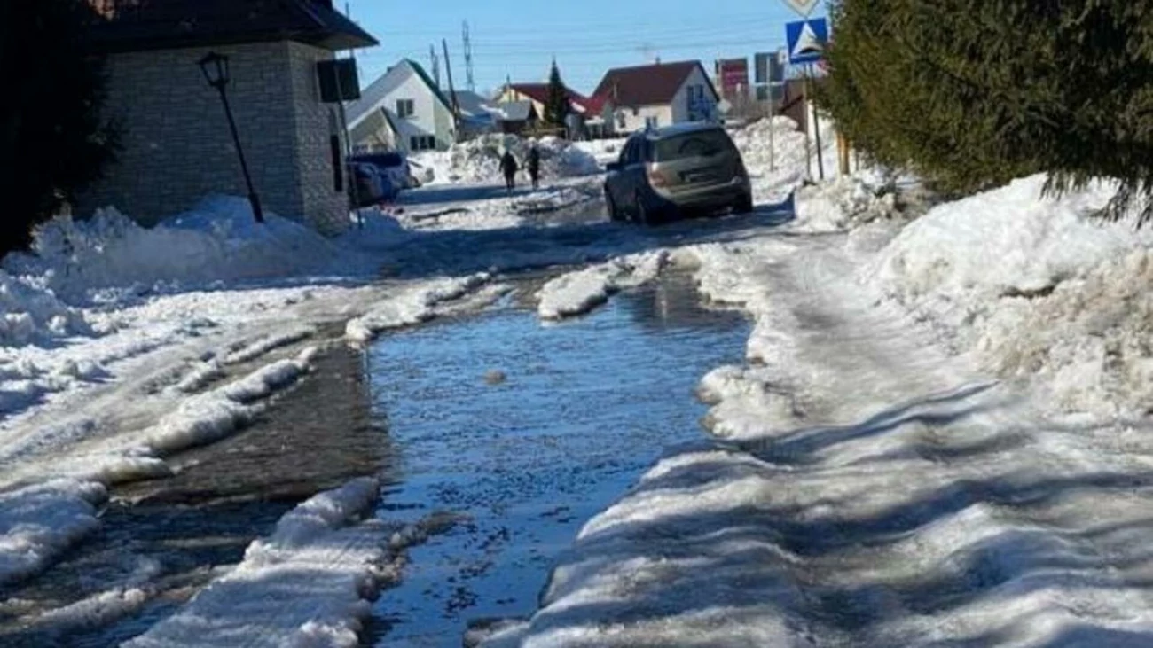 Жители элитного посёлка под Барнаулом жалуются на непочищенные дороги -  Amic.ru Новости Барнаула и Алтайского края - 15 марта - Медиаплатформа  МирТесен