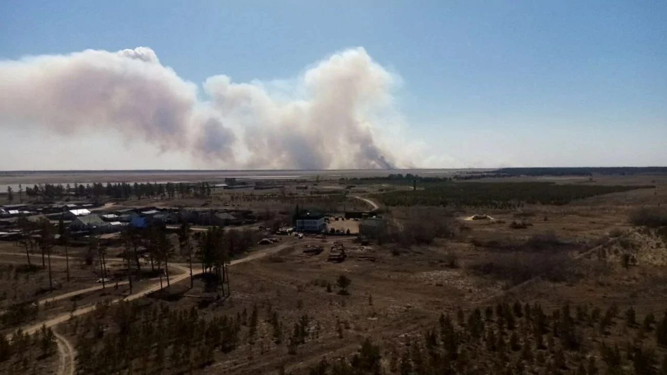 Что известно о крупном пожаре, перешедшем в Алтайский край из Казахстана?