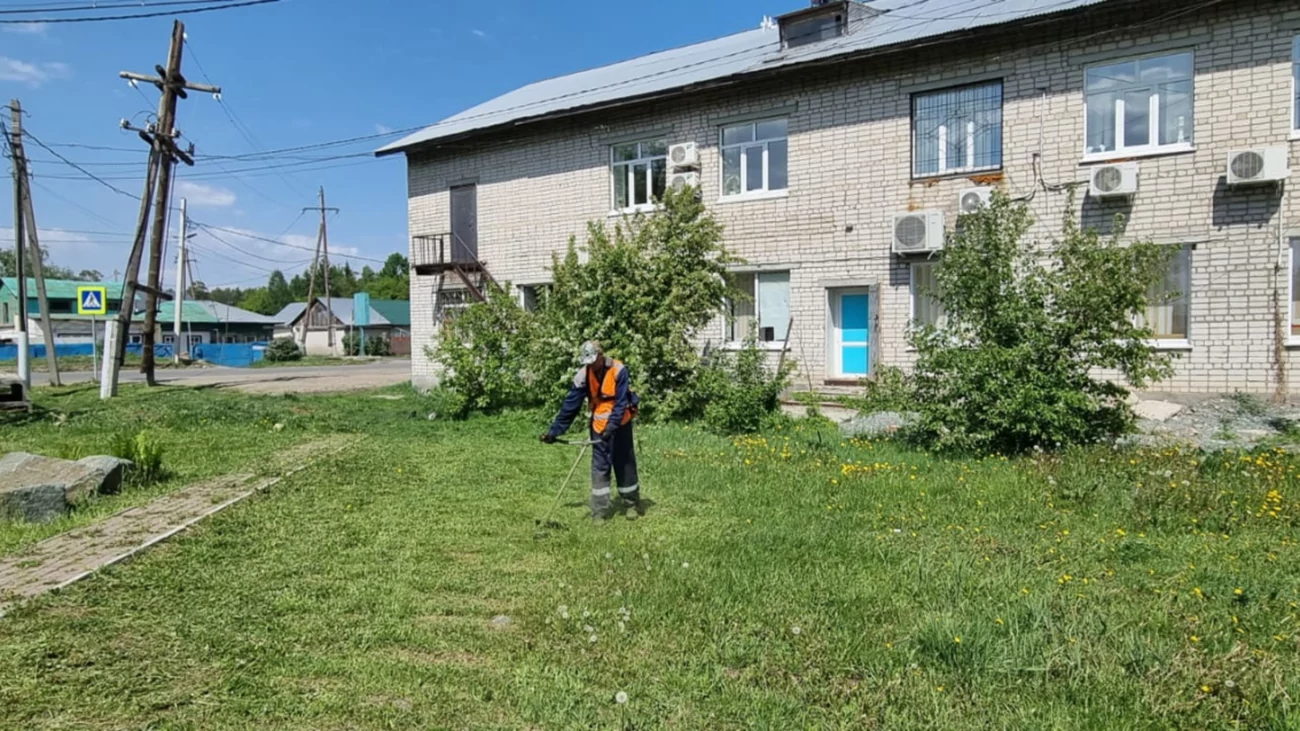 Власти Барнаула объяснили, зачем продолжают косить траву