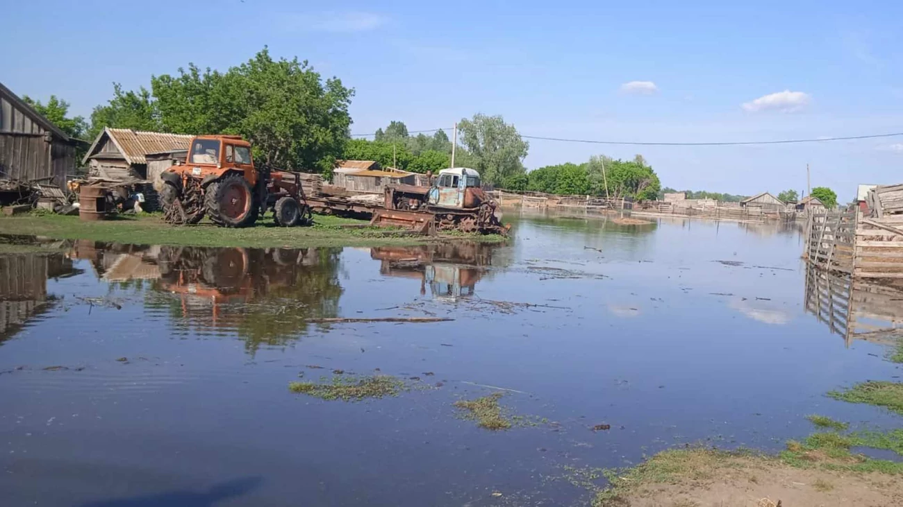 Уровень воды в реке Оби в Усть-Чарышской Пристани достиг критической отметки