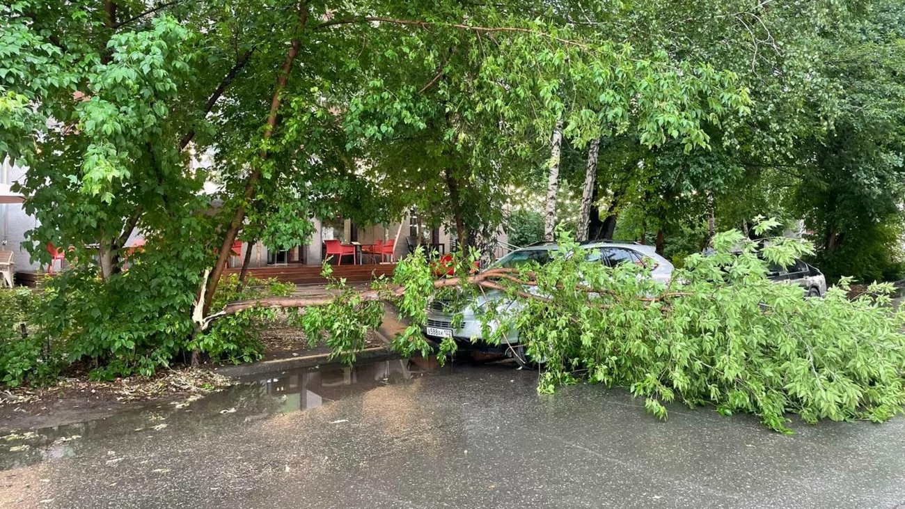 Фото барнаула сейчас