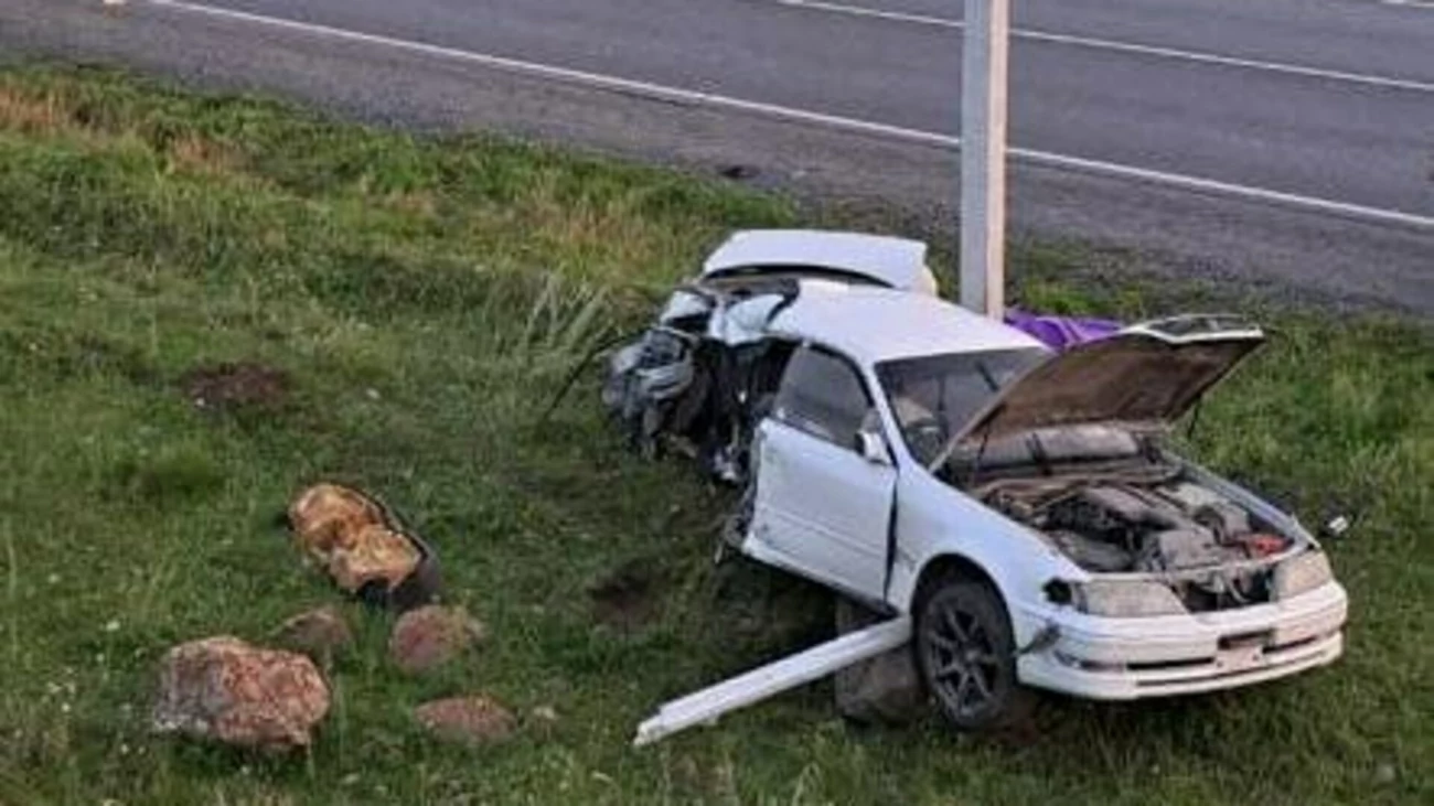 Молодая девушка погибла в жестком ДТП со столбом и собакой на Алтае