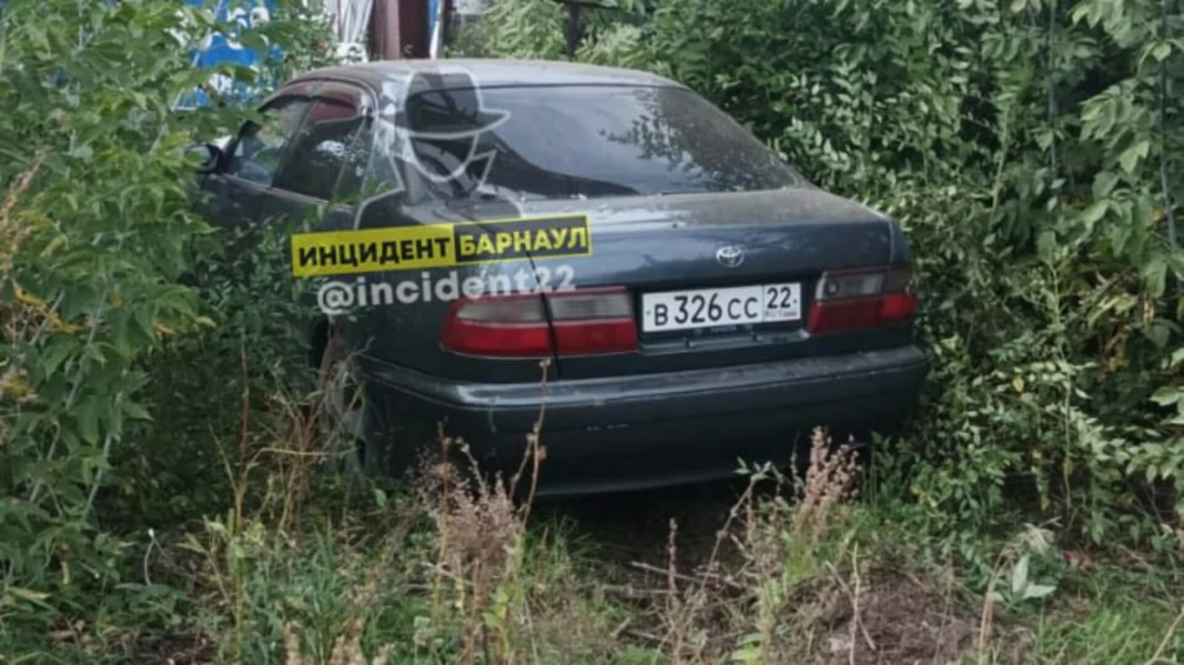 В Барнауле водитель насмерть сбил девочку на переходе и убежал в лес