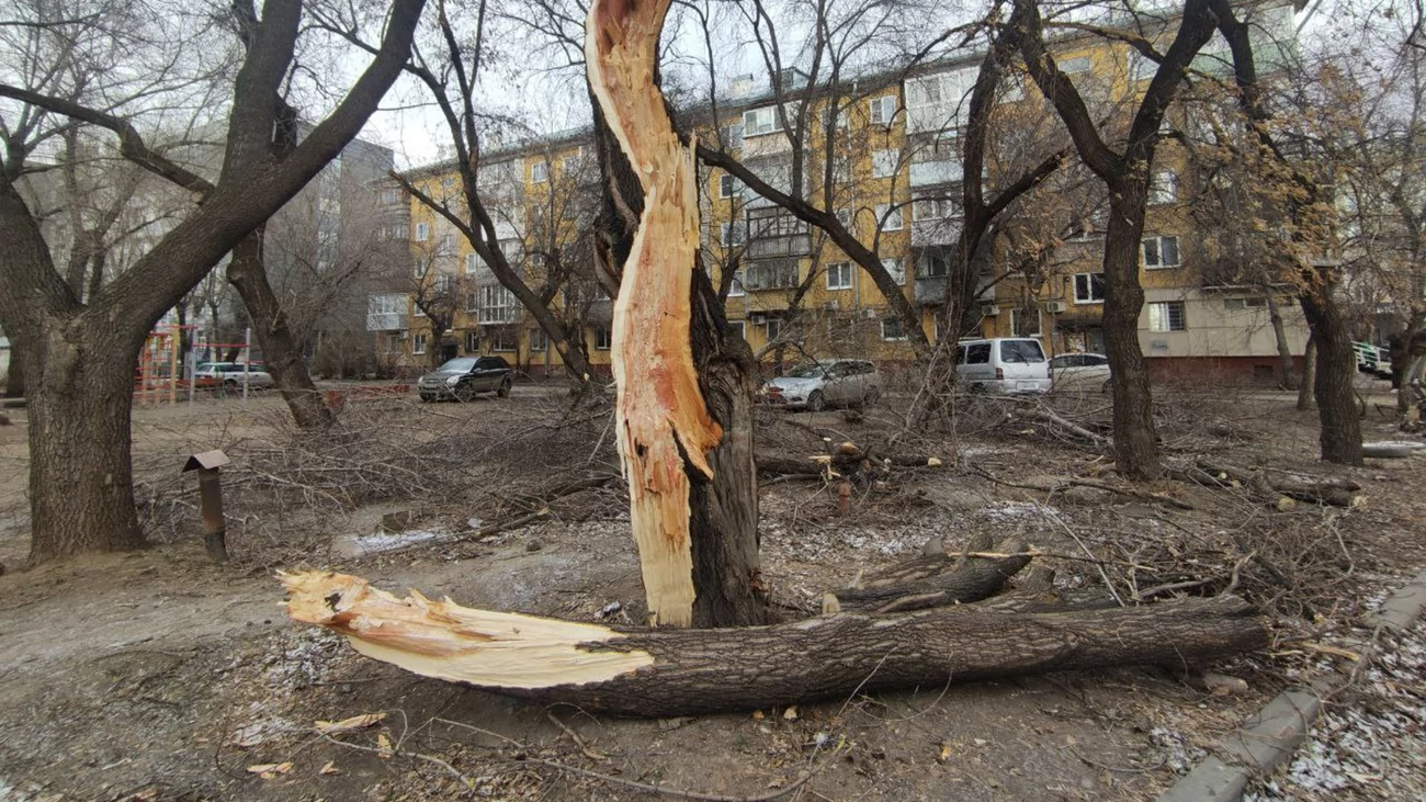 Погода алтайский край советское синоптик