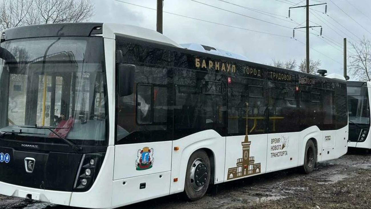 В Барнауле для школьников из многодетных семей проезд в транспорте будет  бесплатным