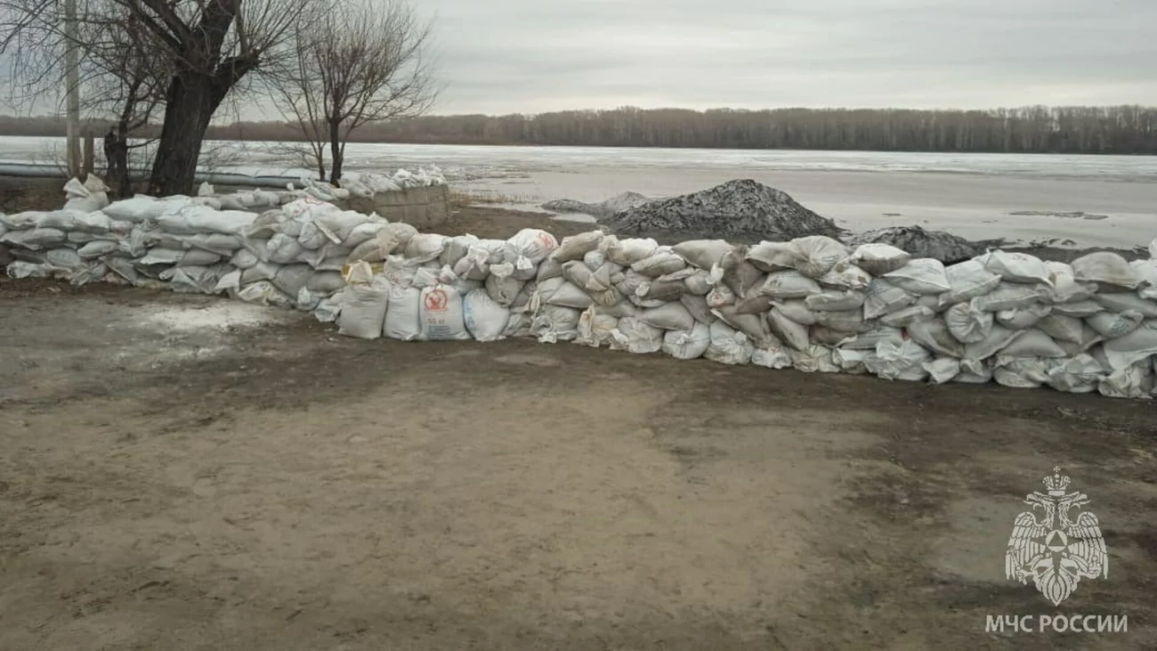 Уровень воды в Оби снова начал подниматься