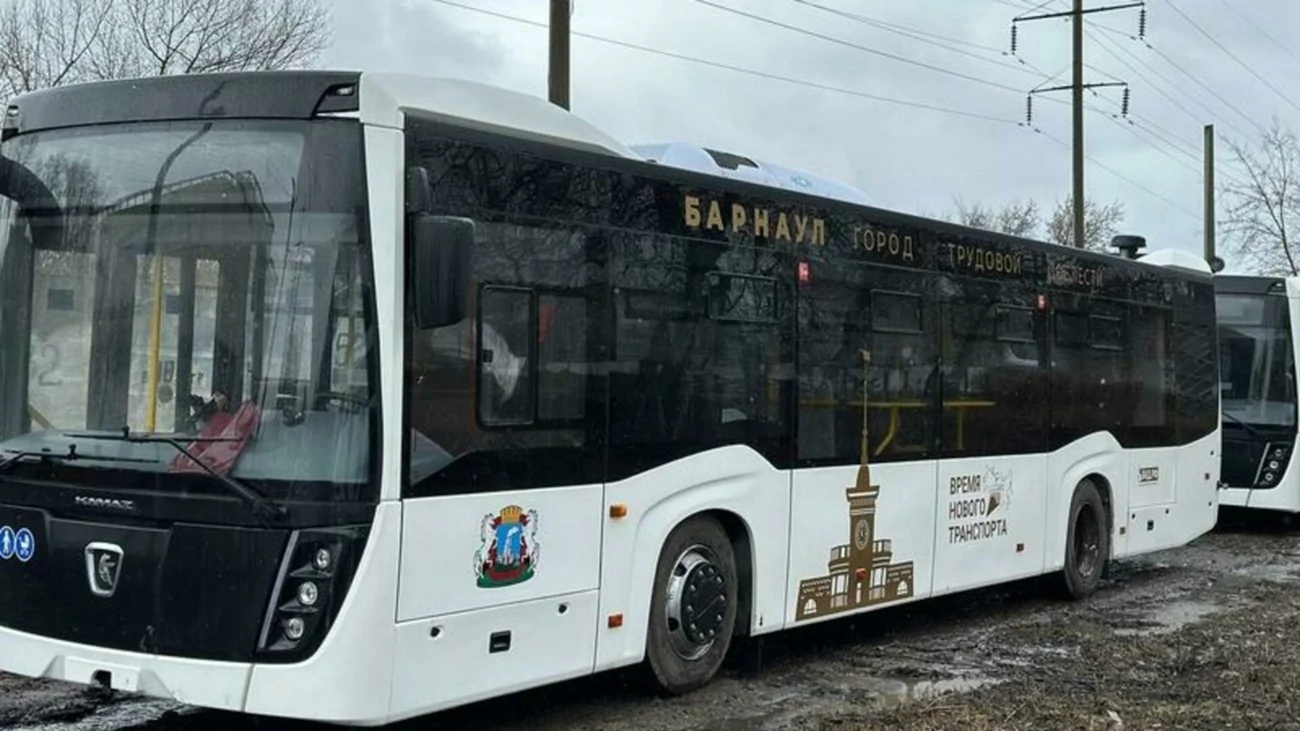 В Барнауле ищут водителей и кондукторов для новых автобусов. Какая зарплата?