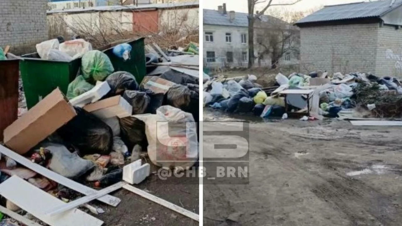 Крысы, собаки и бомжи. В Барнауле пожаловались на переполненную мусором  площадку