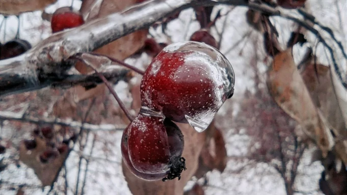 Город в ледяной глазури / Фото: Екатерина Смолихина / amic.ru