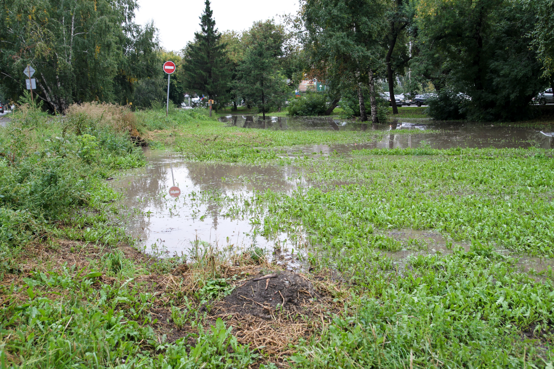 12 июля ливень. Глубокая лужа.