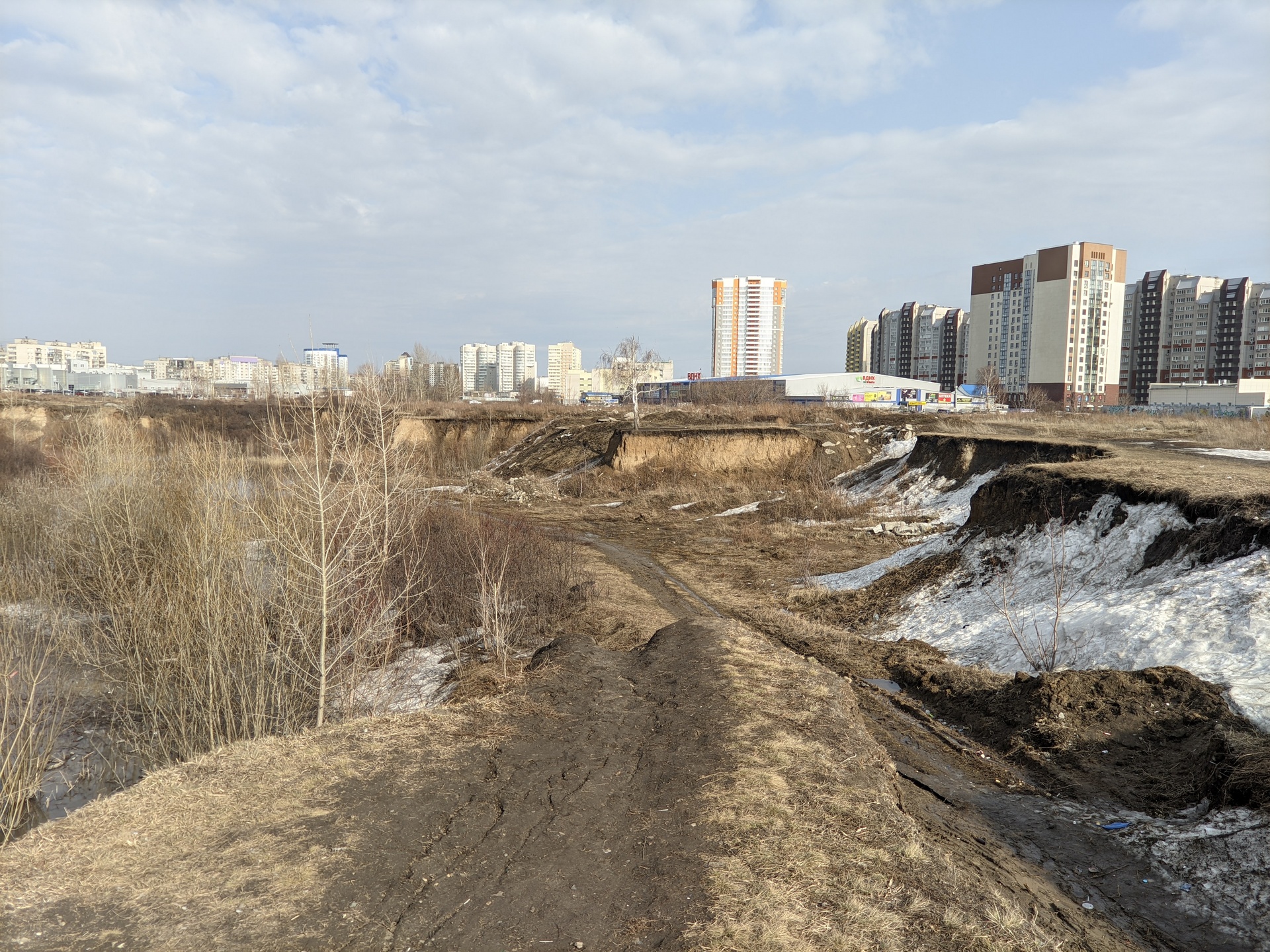 Зачем парк 300-летия Барнаула нужен городу и почему за него голосуют люди