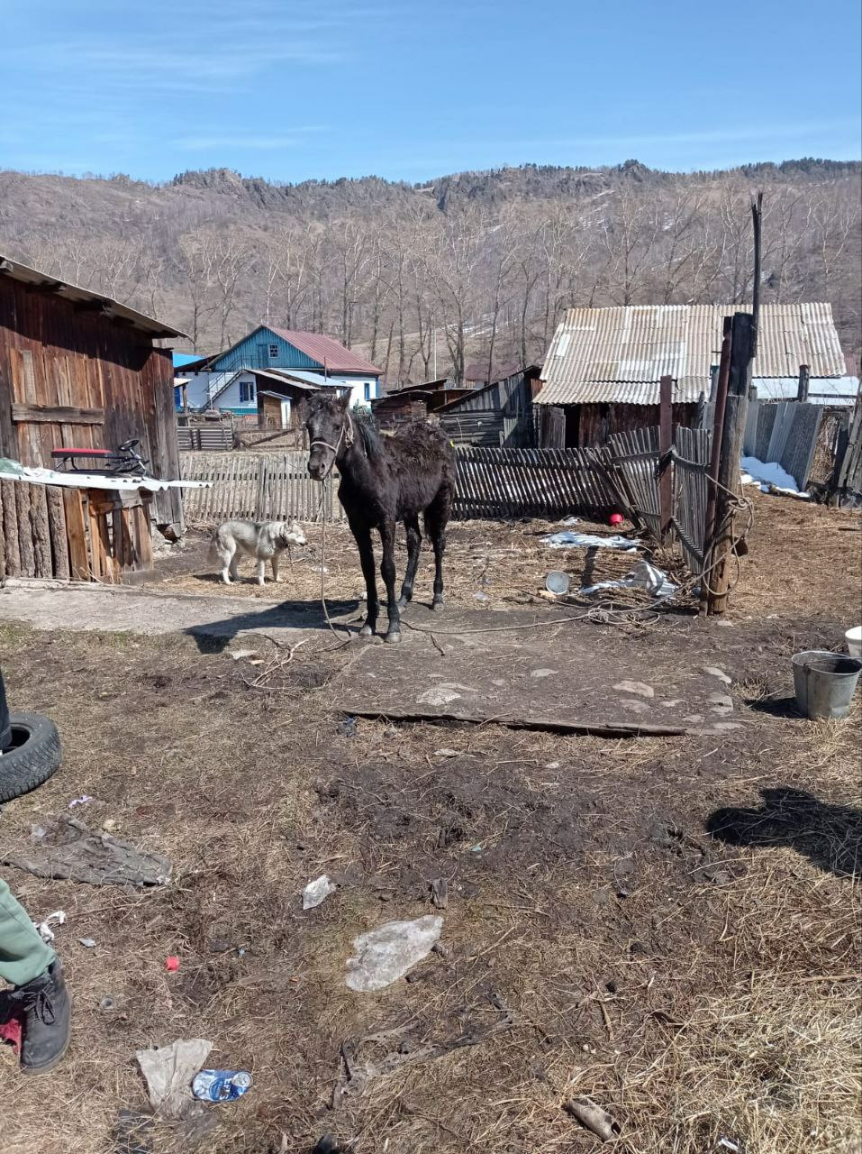 Барнаул телеграмм новости фото 58