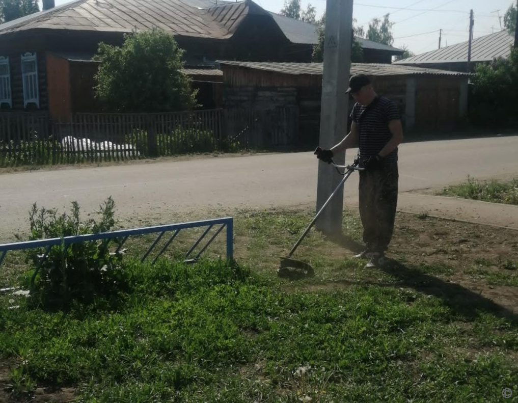 Власти Барнаула объяснили, зачем продолжают косить траву