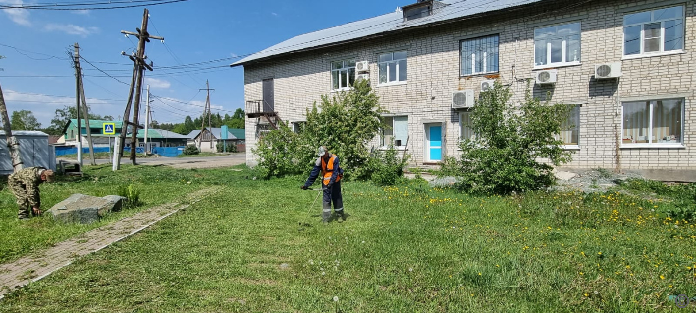 Власти Барнаула объяснили, зачем продолжают косить траву