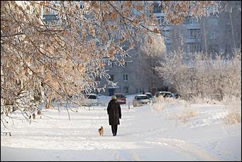 27.12.2016 Барнаул © Амител Вячеслав Мельников   Белый иней: природа украшает Барнаул к Новому году