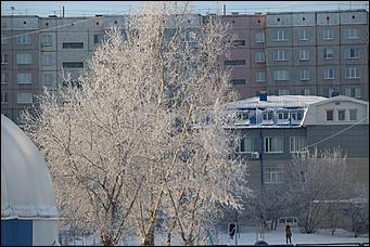 27.12.2016 Барнаул © Амител Вячеслав Мельников   Белый иней: природа украшает Барнаул к Новому году