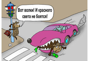   Автокарикатуры