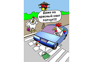   Автокарикатуры